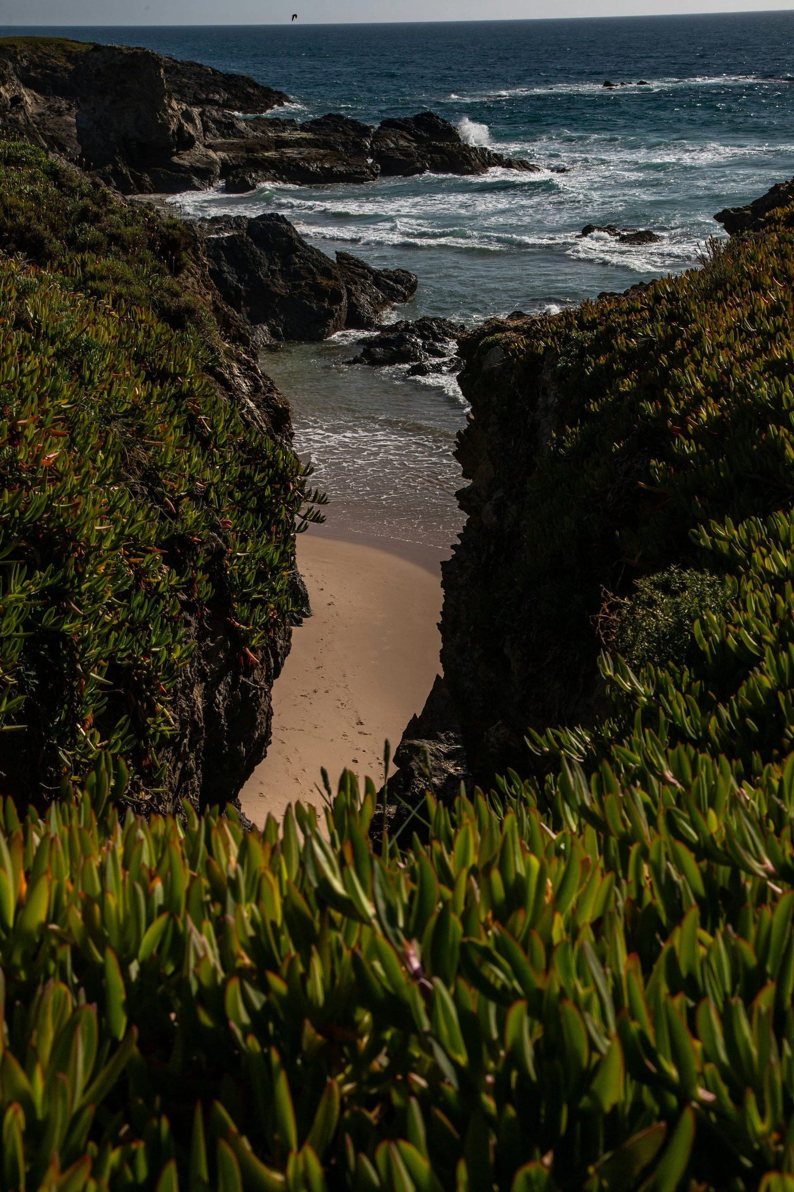 A path through coastal plants down to a small sandy cove and the Atlantic